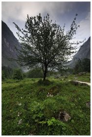 Königsee 16.jpg
